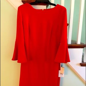 Tulip sleeves, gold zipper, Shem to the knees.